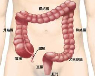 直肠癌有哪些检查方法