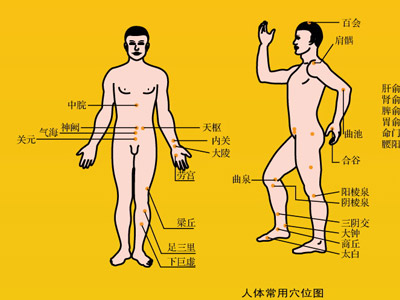 治疗脂肪肝应该针刺哪些穴？